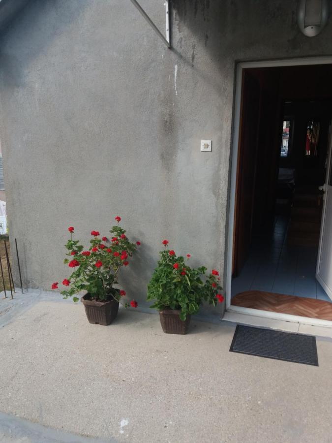 Apartman Mila I Kaja Nikšić المظهر الخارجي الصورة